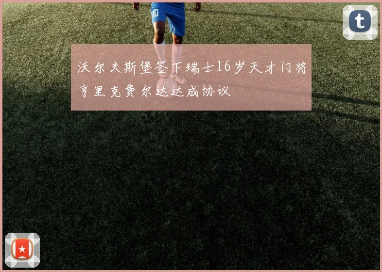 沃尔夫斯堡签下瑞士16岁天才门将亨里克费尔达达成协议
